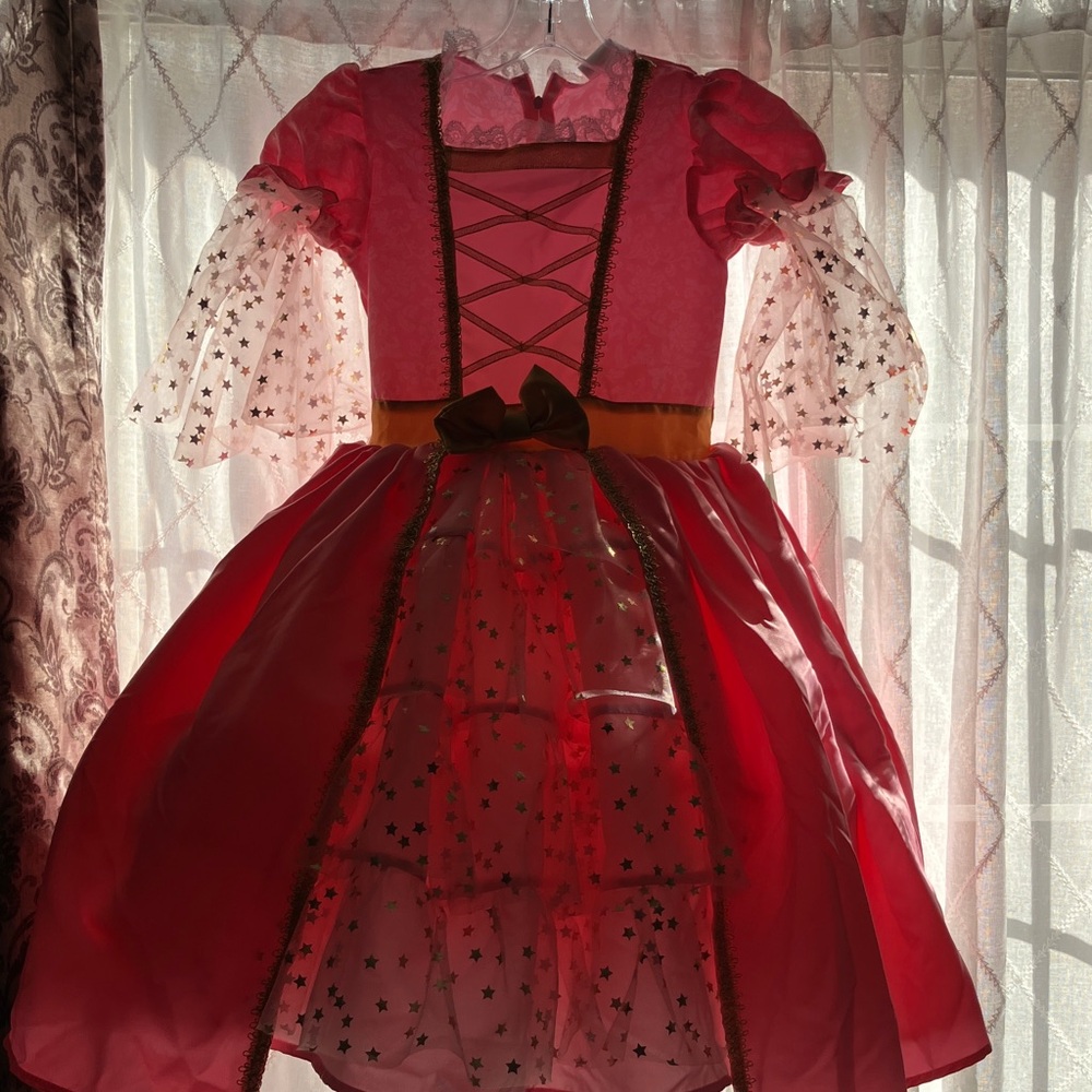 Disney Pink and Gold Princess Costume